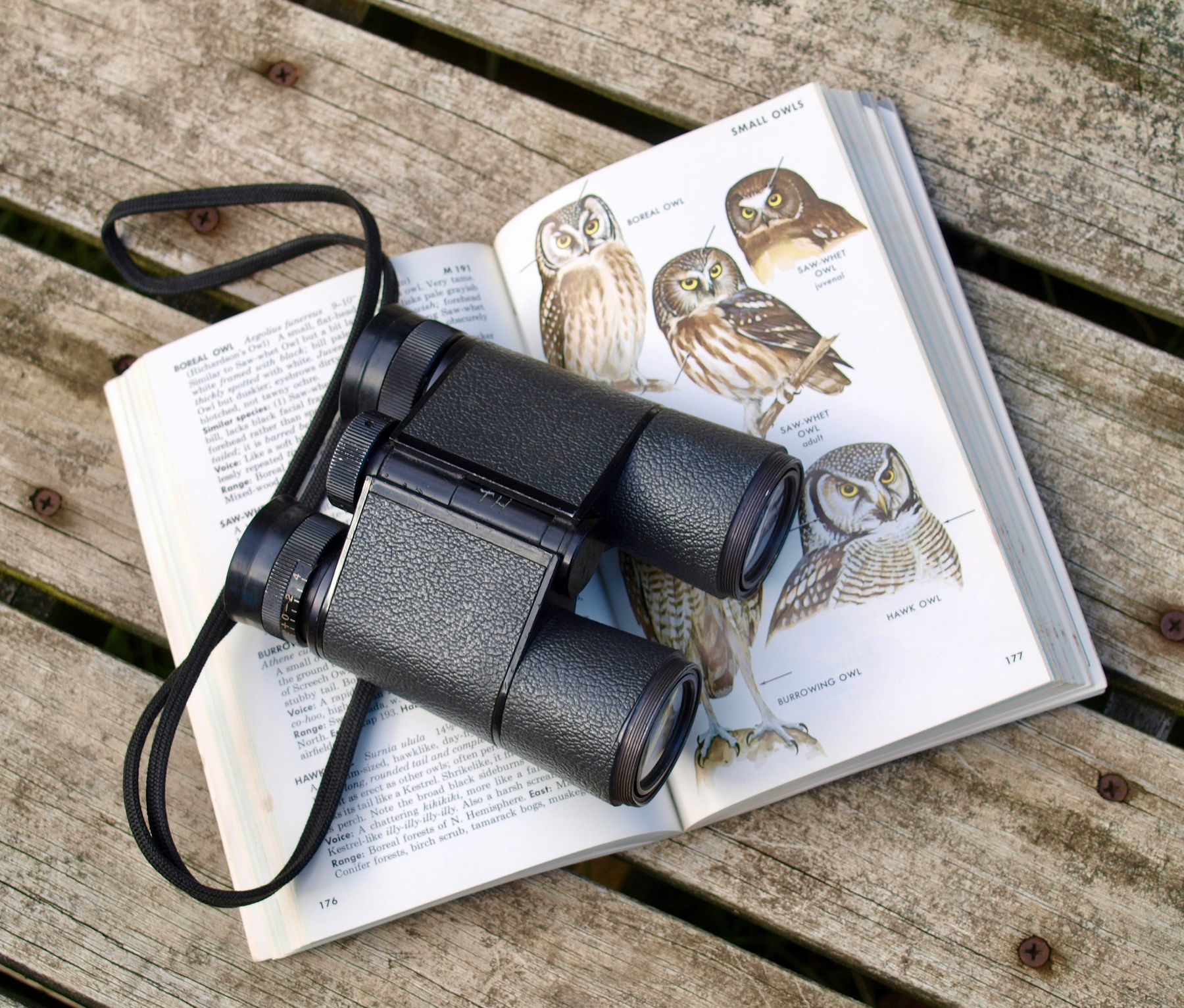 Binoculars resting on an open field guide