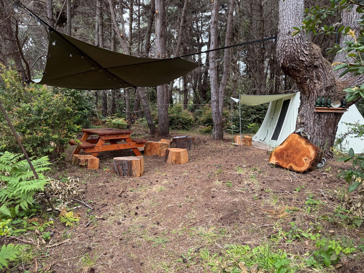 A tarp shelter over a picnic table at camp