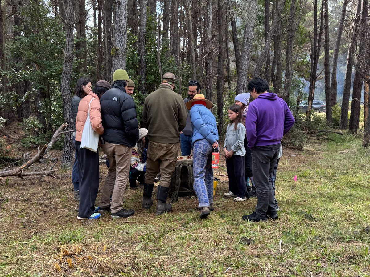 A class gathered around an instructor among the pines