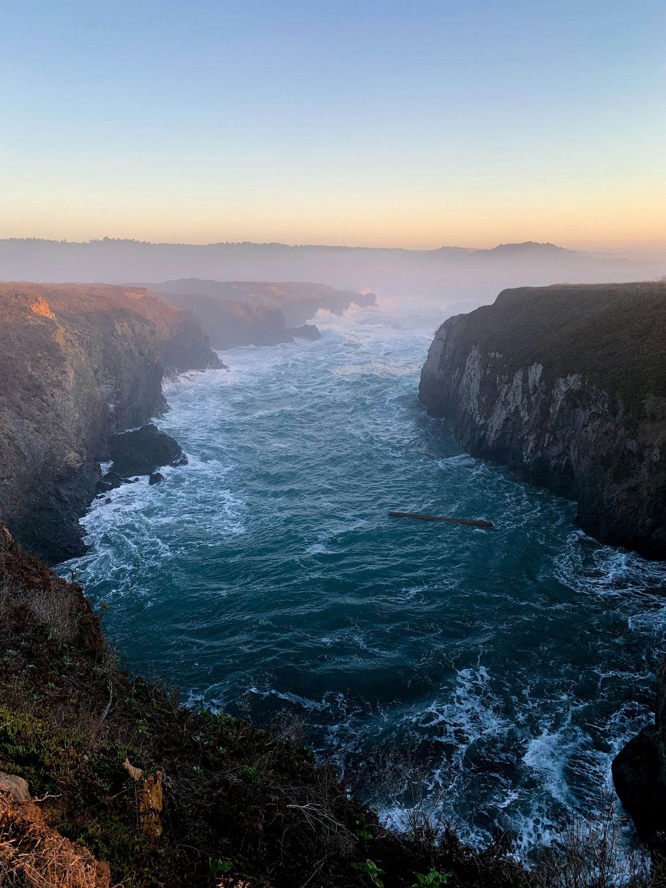 Reading the Mendocino Coast Through the Seasons