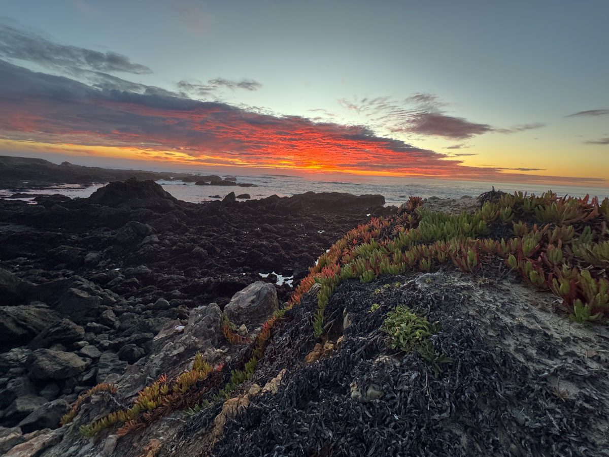 Sunset over the coastal bluffs and open water