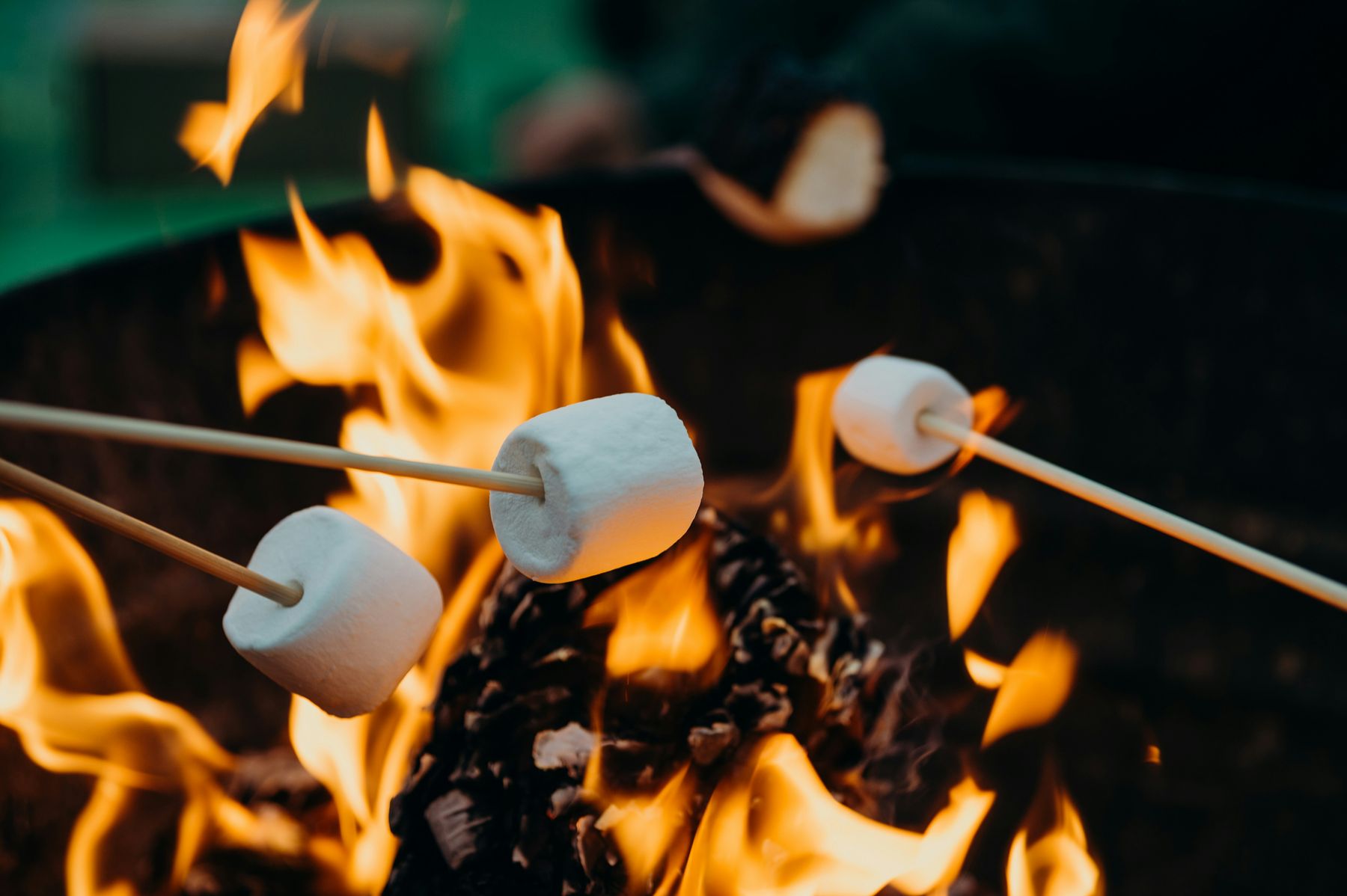 Marshmallows toasting over an open campfire